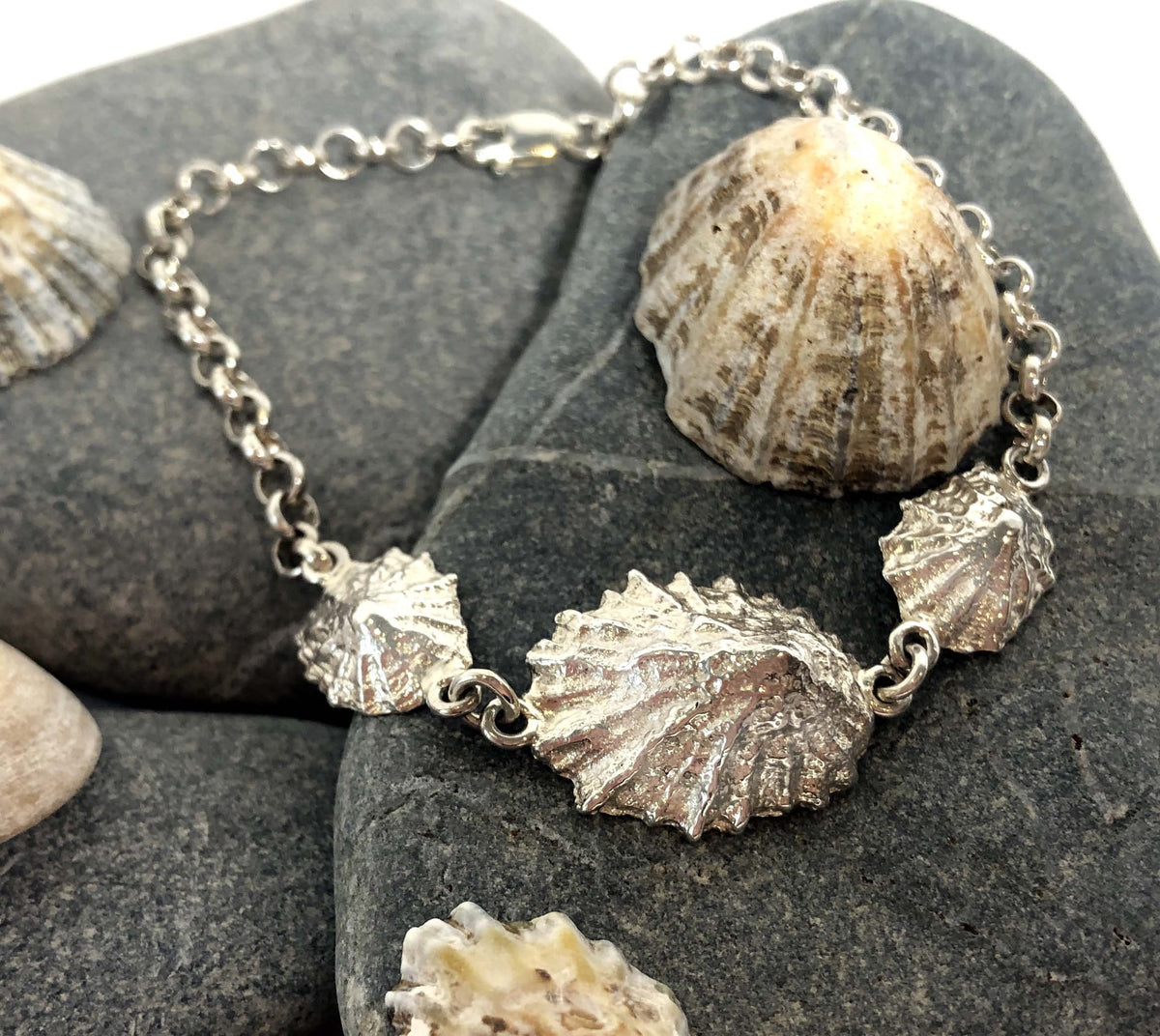 Limpet shell Bracelet, Sea Shell bracelet, Beach style, Sterling Silver, hallmarked, UK made, Gift Boxed